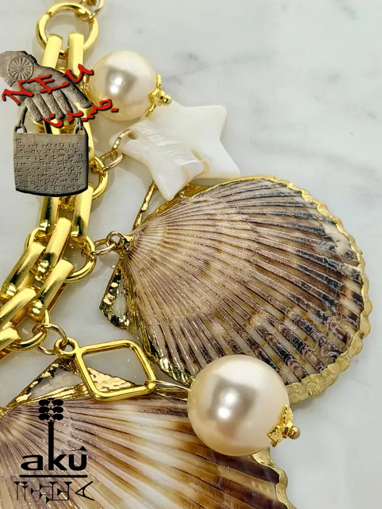 Nahaufnahme der Muscheln